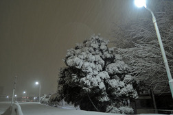 DSCN0172-雪･土手.jpg